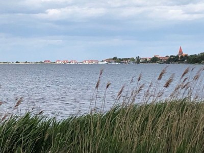 Holiday house Wiedblick - Environment photo 36