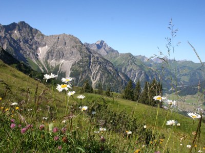 Holiday apartment Haus Peter-Paul C - Environment photo 15