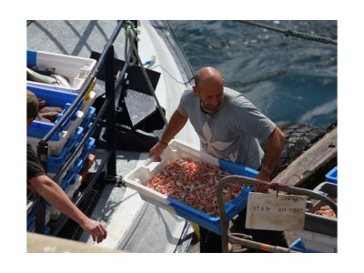 Holiday house Ker Ael - Environment photo 18