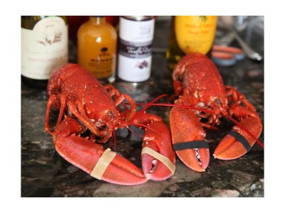 Holiday house Ker Ael - Environment photo 19