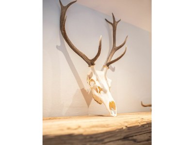 Holiday apartment Alpensinfonie - Features photo 44