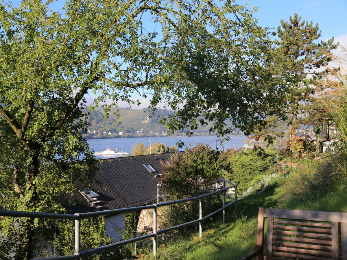 Holiday apartment Castle hill - Outdoor photo 4