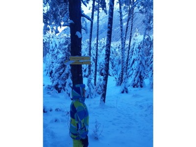 Holiday house Ötztal-Ferienhaus Sennerhäusl - Environment photo 39