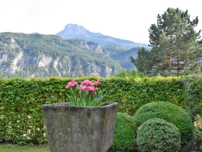 Holiday apartment Woferlbauer - Outdoor photo 5