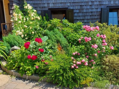 Holiday apartment Woferlbauer - Outdoor photo 7