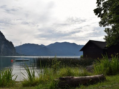 Holiday apartment Woferlbauer - Outdoor photo 8