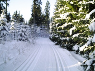 Holiday apartment Sprunk - Environment photo 26