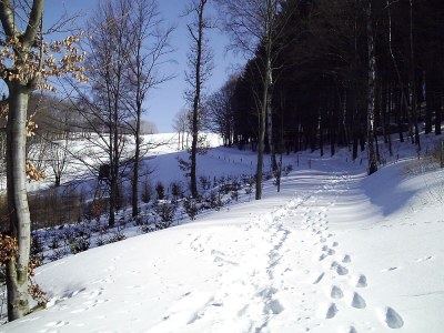 Holiday apartment Sprunk - Environment photo 27