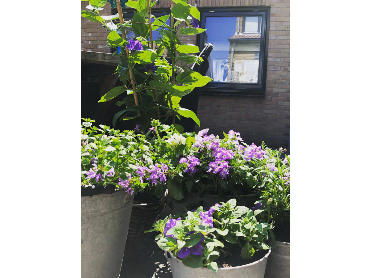 Holiday apartment De Strandloper - Outdoor photo 4