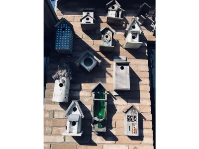 Holiday apartment De Strandloper - Outdoor photo 2