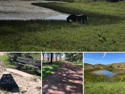 Holiday apartment De Strandloper - Environment photo 31