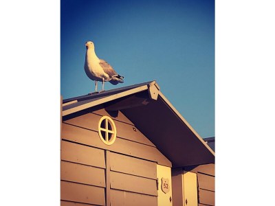 Holiday apartment De Strandloper - Environment photo 33