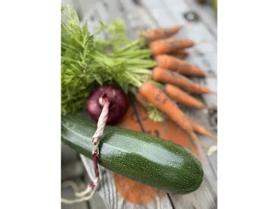 Holiday apartment De Strandloper - Environment photo 40