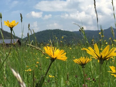 Holiday apartment Bergraum No1 - Environment photo 28