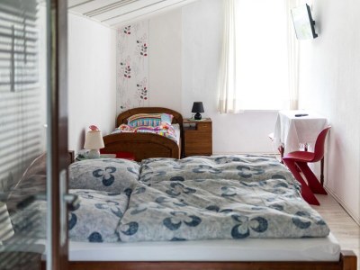 Apartment Vacation Home with Pond - Features photo 8