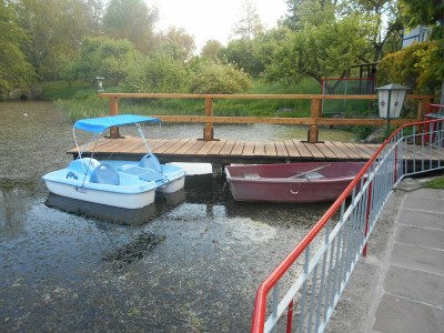 Apartment Vacation Home with Pond - Environment photo 16