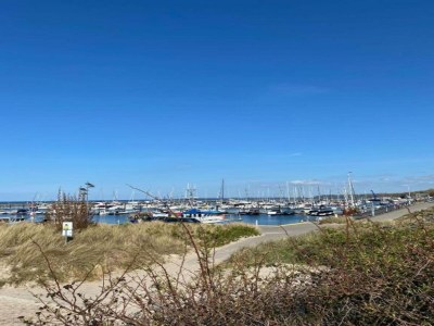 Apartment Vacation Home with Pond - Environment photo 17