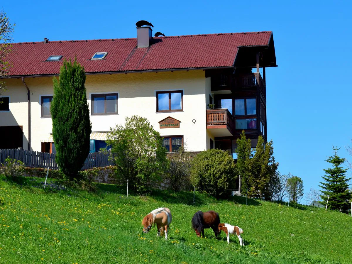 Holiday apartment Hansengut zu Menerweg - Outdoor photo 2