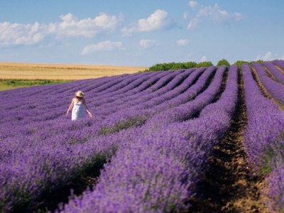 Holiday house Beautiful vacation home with lots of charm and swimming pool - 413 VIL - Environment photo 18
