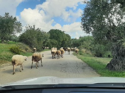 Holiday house Villa Hestia - Environment photo 39