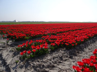 Holiday house Sommermelodie - Environment photo 22