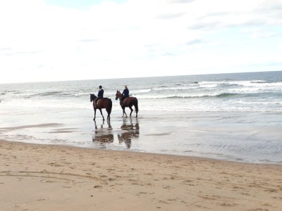 Holiday house Sommermelodie - Environment photo 24