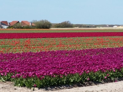 Holiday house Sommermelodie - Environment photo 25