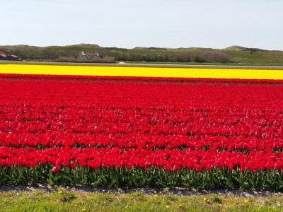 Holiday house Sommermelodie - Environment photo 33