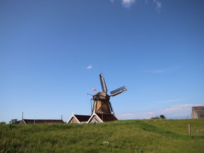 Holiday house Feel-good De Koog - Environment photo 15