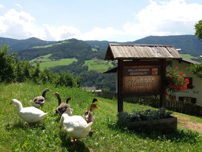 Farmhouse Masunerhof - Outdoor photo 9
