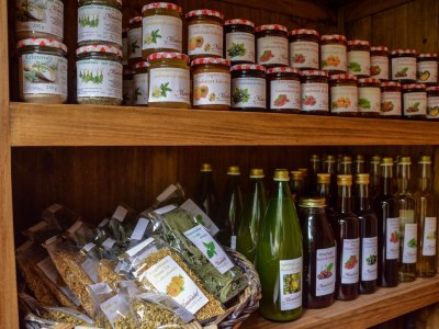 Farmhouse Masunerhof - Features photo 18