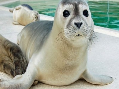 Holiday house Tinas-Nordseeferienhaus - Environment photo 19