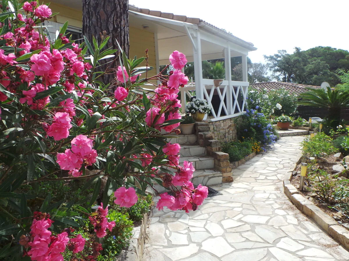 Holiday house la maison d´Oliver