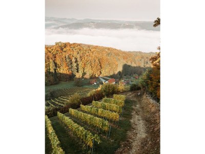 Holiday apartment Family Oswald - Outdoor photo 11