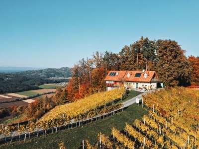 Holiday apartment Family Oswald - Outdoor photo 13