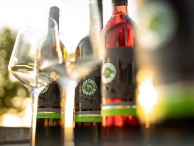 Holiday apartment Family Oswald - Features photo 20