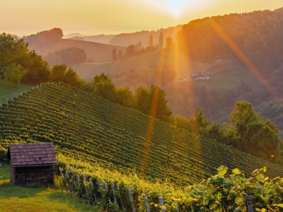 Holiday apartment Family Oswald - Environment photo 25