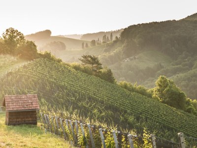 Holiday apartment Family Oswald - Environment photo 26