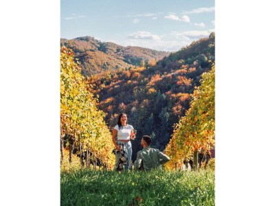 Holiday apartment Family Oswald - Environment photo 27