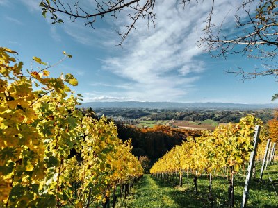 Holiday apartment Family Oswald - Environment photo 28