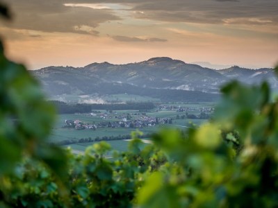 Holiday apartment Family Oswald - Environment photo 36