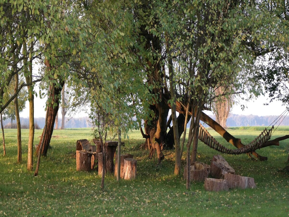 Apartment Geräumige Ferienwohnung in Boddin mit Garten - Outdoor photo 5