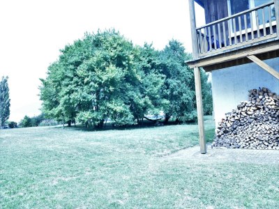 Apartment Geräumige Ferienwohnung in Boddin mit Garten - Outdoor photo 6