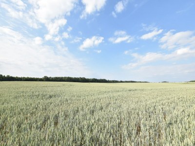 Apartment Geräumige Ferienwohnung in Boddin mit Garten - Environment photo 15