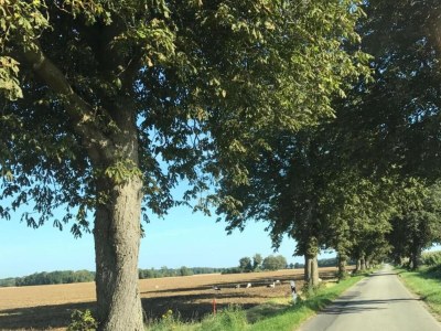 Apartment Geräumige Ferienwohnung in Boddin mit Garten - Environment photo 17