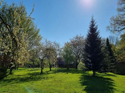 Apartment Geräumige Ferienwohnung in Boddin mit Garten - Environment photo 19