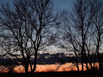 Apartment Geräumige Ferienwohnung in Boddin mit Garten - Environment photo 20