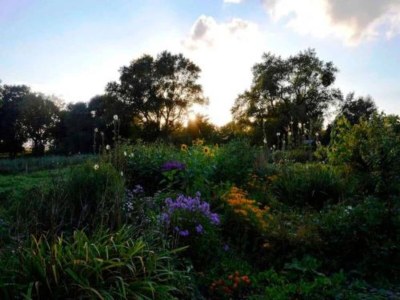 Apartment Geräumige Ferienwohnung in Boddin mit Garten - Environment photo 22