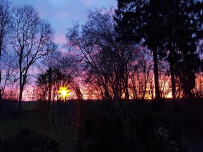 Apartment Geräumige Ferienwohnung in Boddin mit Garten - Environment photo 26