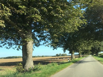 Apartment Geräumige Ferienwohnung in Boddin mit Garten - Environment photo 30